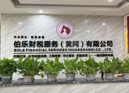 2026年4月新發布 黃岡財稅顧問優選——伯樂企業管理咨詢實力解析