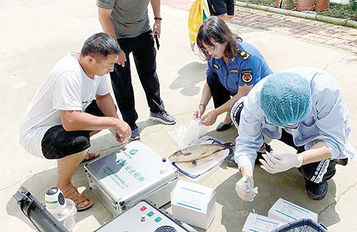 山東萊西市水產(chǎn)服務(wù)中心 筑牢漁業(yè)環(huán)境與水產(chǎn)品質(zhì)量安全雙防線